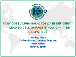 How Does Alpha Galactosidase Deficiency