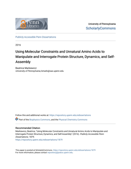 Using Molecular Constraints and Unnatural Amino Acids to Manipulate and Interrogate Protein Structure, Dynamics, and Self- Assembly