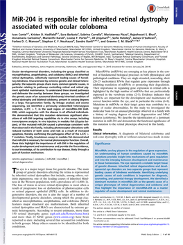 Mir-204 Is Responsible for Inherited Retinal Dystrophy Associated