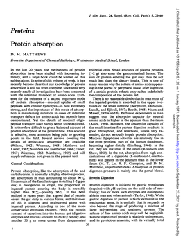 Protein Absorption
