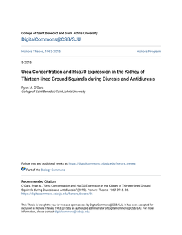 Urea Concentration and Hsp70 Expression in the Kidney of Thirteen-Lined Ground Squirrels During Diuresis and Antidiuresis