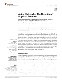 Aging Hallmarks: the Benefits of Physical Exercise