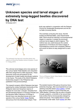 Unknown Species and Larval Stages of Extremely Long-Legged Beetles Discovered by DNA Test 18 October 2011