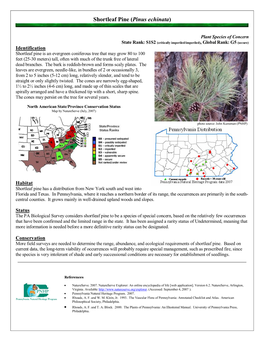 Shortleaf Pine (Pinus Echinata)