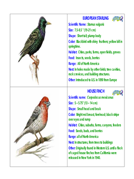 House Finch European Starling