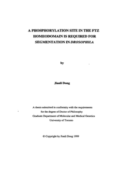A PHOSPHORYLATION SITE in the FTZ HOMEODOMAIN IS REQUIRED for Segrnntation in DROSOPHILA