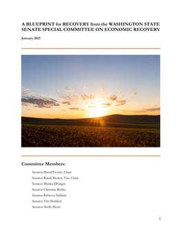 BLUEPRINT for RECOVERY from the WASHINGTON STATE SENATE SPECIAL COMMITTEE on ECONOMIC RECOVERY