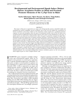 Developmental and Environmental Signals Induce Distinct Histone Acetylation Proﬁles on Distal and Proximal Promoter Elements of the C4-Pepc Gene in Maize