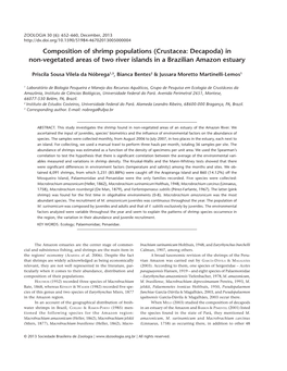 In Non-Vegetated Areas of Two River Islands in a Brazilian Amazon Estuary