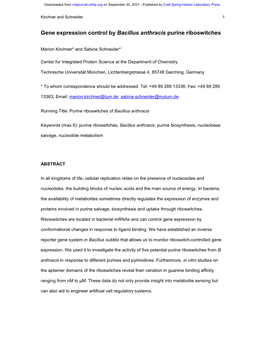 Gene Expression Control by Bacillus Anthracis Purine Riboswitches