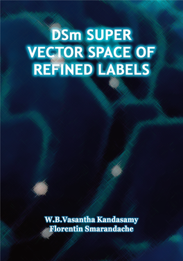 Dsm Super Vector Space of Refined Labels