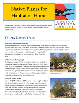 Native Plants for Habitat at Home