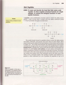 18.4 Peptides 559