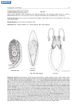 Cephalopods of the World 79