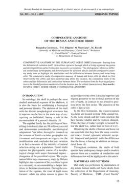 Comparative Anatomy of the Human and Horse Orbit