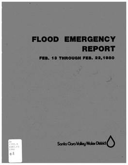 1980 Flood Report