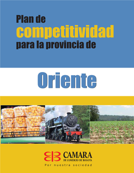 Plan De Competitividad De Oriente 68