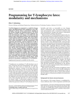 Programming for T-Lymphocyte Fates: Modularity and Mechanisms