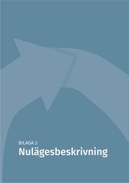 BILAGA 3 Nulägesbeskrivning