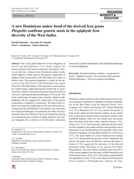 A New Dominican Amber Fossil of the Derived Fern Genus Pleopeltis Confirms Generic Stasis in the Epiphytic Fern Diversity of the West Indies