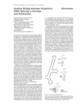 Minireview Trna Splicing in Archaea and Eukaryotes