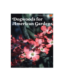 Dogwoods for American Gardens