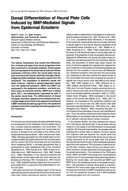 Dorsal Differentiation of Neural Plate Cells Induced by BMP-Mediated Signals from Epidermal Ectoderm