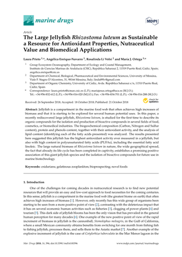 The Large Jellyfish Rhizostoma Luteum As Sustainable a Resource for Antioxidant Properties, Nutraceutical Value and Biomedical A