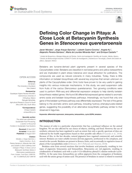 A Close Look at Betacyanin Synthesis Genes in Stenocereus Queretaroensis