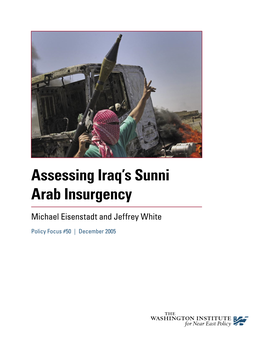 Assessing Iraq's Sunni Arab Insurgency