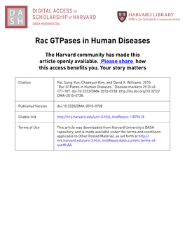 Rac Gtpases in Human Diseases