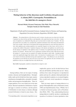 Mating Behavior of the Dioecious Snail Cerithidea Rhizophorarum A.Adams,1855 ( Gastropoda; Potamididae) in the Tidal Flat of a Mangrove Forest