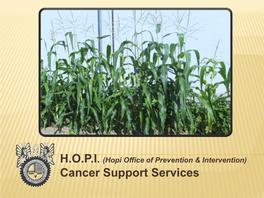 (Hopi Office of Prevention & Intervention) Cancer Support Services