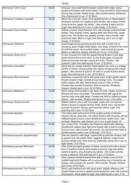 Sheet1 Echinacea '12Th of July' £5.20 Unusual, Very Small East European Variety with Single, Dusky Purple-Pink Flowers with Fluted Petals