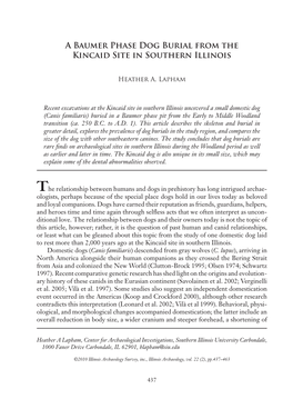 Illinois Archaeology (2010)