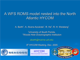 Comparison of WFS ROMS Temperature with in Situ Profiles