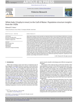 White Hake (Urophycis Tenuis) in the Gulf of Maine: Population Structure Insights from the 1920S