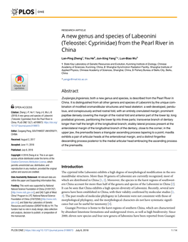 A New Genus and Species of Labeonini (Teleostei: Cyprinidae) from the Pearl River in China