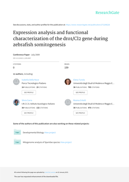 Expression Analysis and Functional Characterization of the Dro1/Cl2 Gene During Zebrafish Somitogenesis