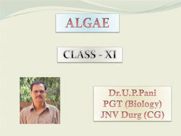 Introduction to Algae