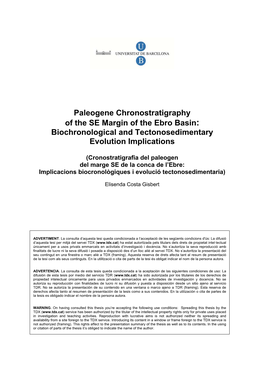 Paleogene Chronostratigraphy of the SE Margin of the Ebro Basin: Biochronological and Tectonosedimentary Evolution Implications