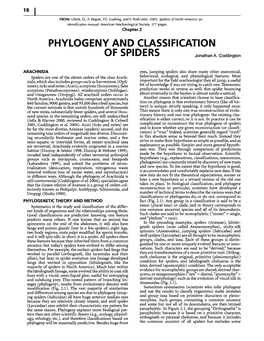 Phylogeny and Classification of Spiders