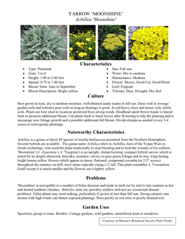 YARROW 'MOONSHINE' Achillea 'Moonshine' Characteristics Culture Noteworthy Characteristics Problems Garden Uses