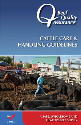 Cattle Care & Handling Guidelines