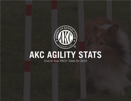 AKC AGILITY STATS End-Of-Year PACH Totals for 2019 #1 PACH Dog - Radiance END-OF-YEAR RANKINGS from the PREFERRED CLASS