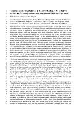 The Contribution of Invertebrates to the Understanding of the Vertebrate Nervous System, Its Mechanisms, Functions and Pathologi