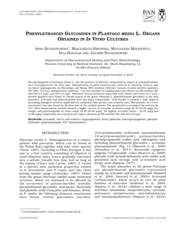 Phenylethanoid Glycosides in Plantago Media L. Organs Obtained in in Vitro Cultures