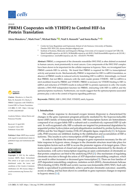 PBRM1 Cooperates with YTHDF2 to Control HIF-1 Protein Translation