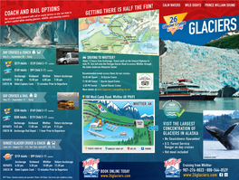 Glaciers, Wildlife, and Amazing Scenery