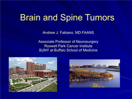 Brain and Spine Tumors